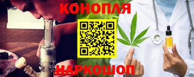 jwh Новозыбков